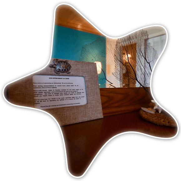 Long Island Gems At Paradise