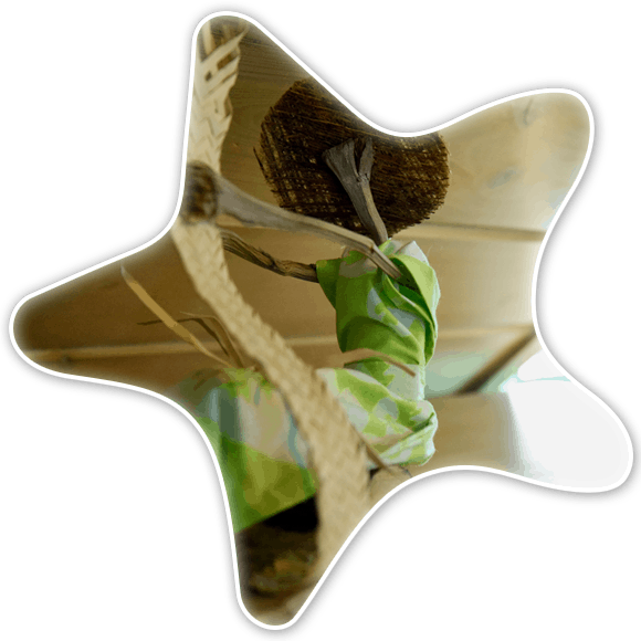 Long Island Gems At Paradise